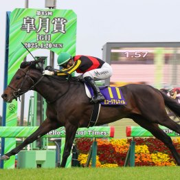 【皐月賞】今こそ速い馬が勝つ