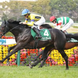【皐月賞】今こそ速い馬が勝つ