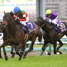 【皐月賞】データ作戦　逃げ、先行の伏兵に要注意