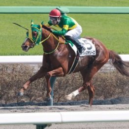 【木津の土曜競馬コラム・葛飾特別】	