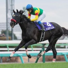 【大谷の土曜競馬コラム・中山グランドＪ】	