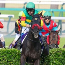 【東京本紙・外山の中山グランドジャンプ】	