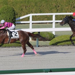 【大阪本紙・弘中の土曜阪神12Ｒ】