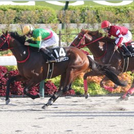 【大阪本紙・弘中のアンタレスＳ】