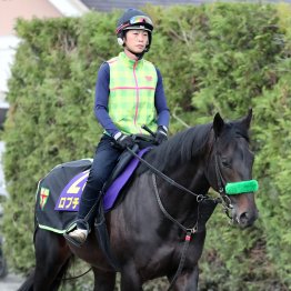 【皐月賞】出走全馬の特選情報