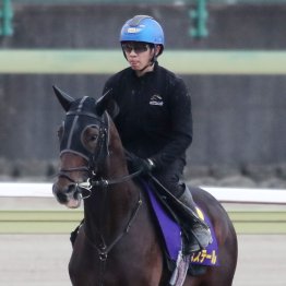 【皐月賞】出走全馬の特選情報