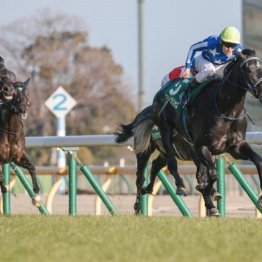 【東京本紙・外山の皐月賞】