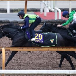 【木津の日曜競馬コラム・皐月賞】