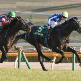 【大谷の日曜競馬コラム・皐月賞】