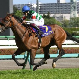 【注目重賞／データで買う・皐月賞】