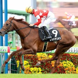 【レスキュー隊の日曜競馬コラム・中山12Ｒ】