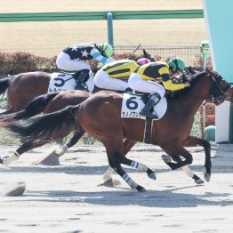 【東京本紙・外山の日曜中山８Ｒ】