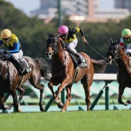 【東京本紙・外山の日曜中山９Ｒ】