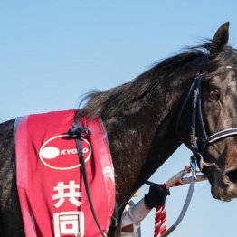 【皐月賞】◎リアライズシリウス　完成度高い　スピードで圧倒