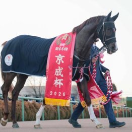 【皐月賞】◎グリーンエナジー　中山適性文句ナシ　不動の本命です