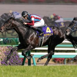 【皐月賞】ホープフルＳ馬ロブチェンが同舞台でライバルをねじ伏せる