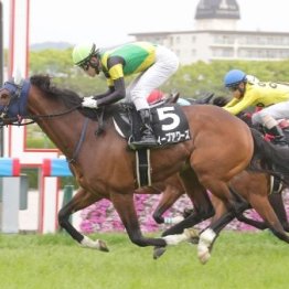 【立雲峡Ｓ】スイープアワーズが大外一気でＶ