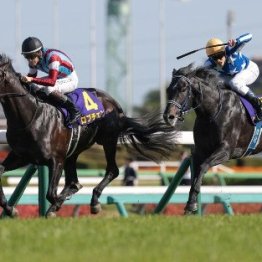 【皐月賞】レコードの１分５６秒５　ロブチェンが次も勝つ確率は──。
