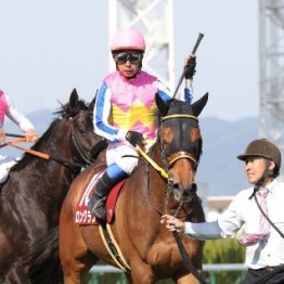 【マイラーズＣ】昨年の勝ち馬、上がり馬、ＧⅠ馬と多士済々