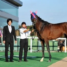 馬乗りの技術を一番尊敬、見本としている「癖馬名人」とは