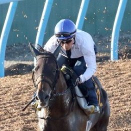 馬乗りの技術を一番尊敬、見本としている「癖馬名人」とは