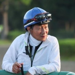 馬乗りの技術を一番尊敬、見本としている「癖馬名人」とは