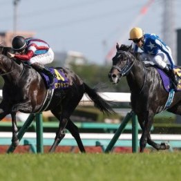 想定内のレコードと想定外の好記録