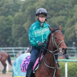 【フローラＳ】未勝利→フリージア賞勝ち ファムクラジューズの重賞取り