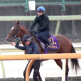 【マイラーズＣ】朝日杯ＦＳ馬アドマイヤズーム、反撃態勢