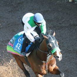 【マイラーズＣ】調教マル得チェック