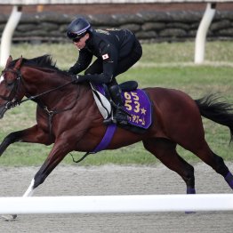 【マイラーズＣ】調教マル得チェック