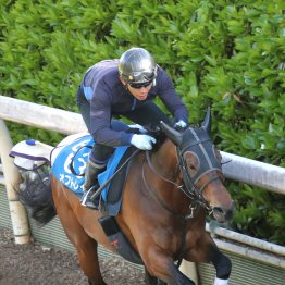 【マイラーズＣ】オフトレイル得意の京都で巻き返しだ