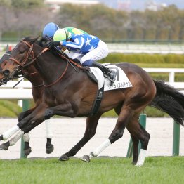 【フローラＳ】桜、皐月と制して今週も──。リアライズルミナスで〝サンデー松山〟なるか。