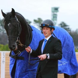 〈121〉オークス馬サンテミリオンを担当していた大西貴久調教助手（４）