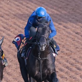 【青葉賞】ノーブルサヴェージ勝ってダービーへ