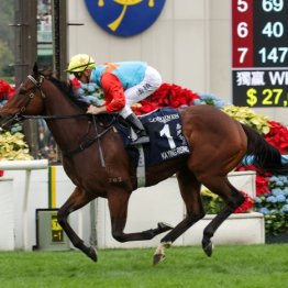 26日（日）は香港チャンピオンズデー