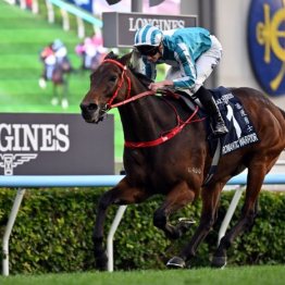 26日（日）は香港チャンピオンズデー