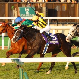 26日（日）は香港チャンピオンズデー