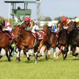 【マイラーズＣ】データ作戦　上位人気２頭＆伏兵１頭が狙い目
