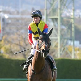 【マイラーズＣ】ドラゴンブースト一発ムード