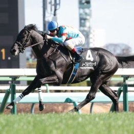 【大谷の土曜競馬コラム・青葉賞】