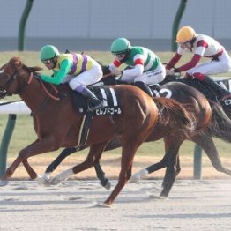 【橘の土曜競馬コラム・天王山Ｓ】
