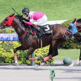 【福島本紙・市川の土曜福島11Ｒ】