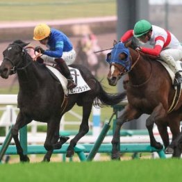 【東京本紙・外山の土曜東京９Ｒ】