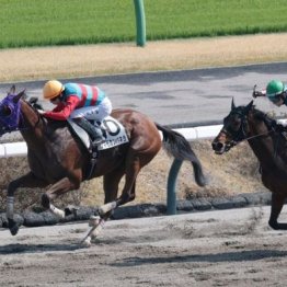 【東京本紙・外山の土曜東京12Ｒ】