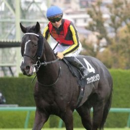 【東京本紙・外山の青葉賞】