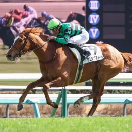 【市川の日曜競馬コラム・フローラＳ】