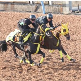 【飯島の日曜競馬コラム・フローラＳ】