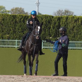 【木津の日曜競馬コラム・京都４Ｒ】