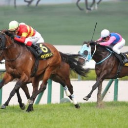 【大谷の日曜競馬コラム・マイラーズＣ】